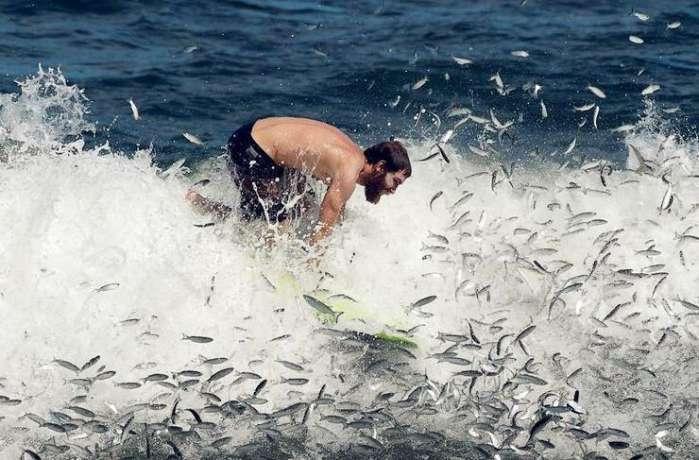 孤独的流浪者救援